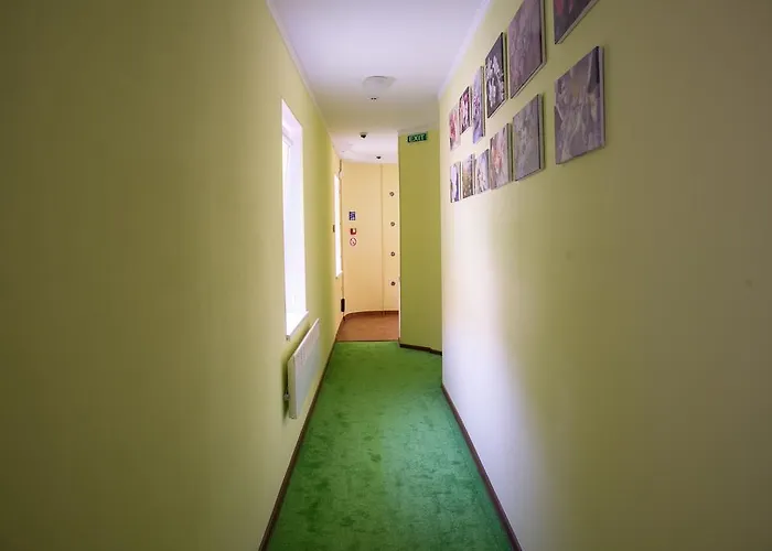 12 Months Mini Odesa