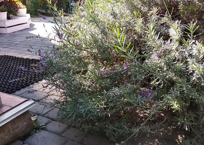 12 Months Mini Hotel 3*