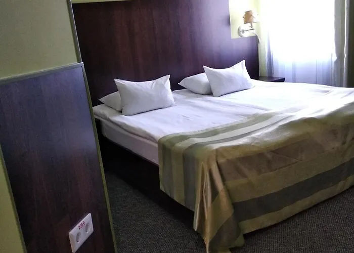 12 Months Mini オデッサ