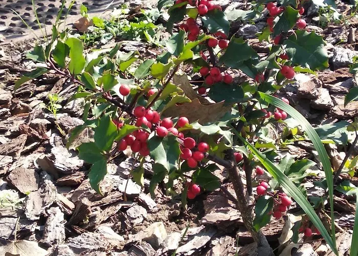 12 Months Mini Szálloda