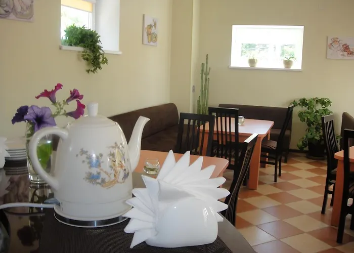 12 Months Mini Hotel